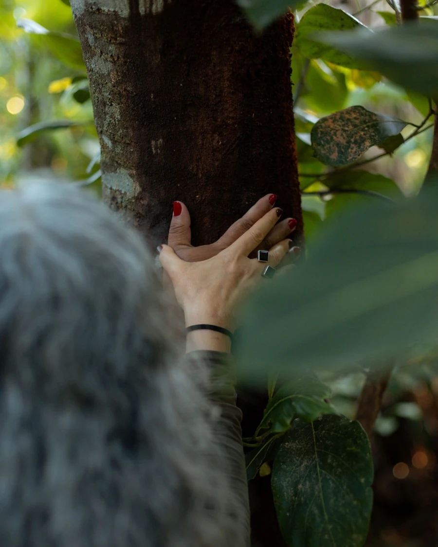 Vivência Florianópolis